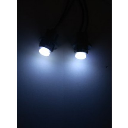 LED T10 12V PUTIH