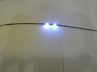 LED LIDI HUJAN 12V 31.5CM
