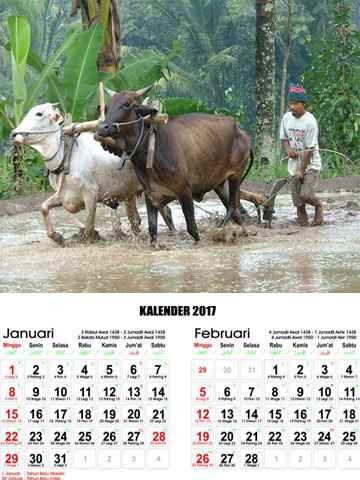 Kalender Aktivitas Pedesaan