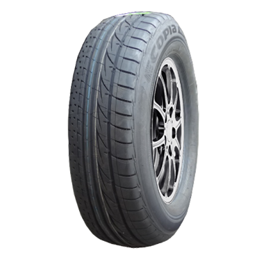 BAN BRIDGESTONE ECOPIA MPV-1