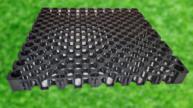 Drainage cell / Drainase sel