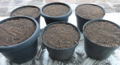Jasa Cetak Pot Tanaman Bahan Plastik