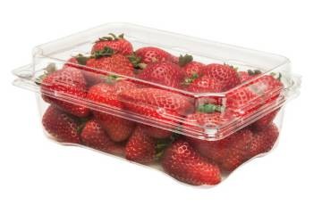Jasa Cetak Wadah Strawberry