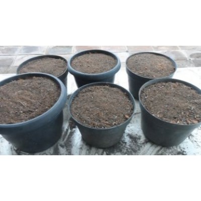 Jasa Cetak Pot Tanaman Bahan Plastik