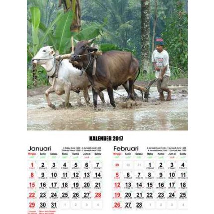 Kalender Aktivitas Pedesaan
