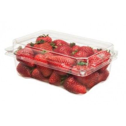 Jasa Cetak Wadah Strawberry